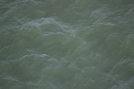 Missing Picture